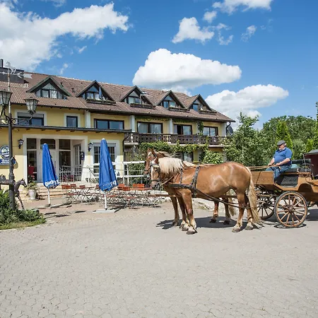 Gospodarstwo agroturystyczne Reiterhof-altmuehlsee Gunzenhausen